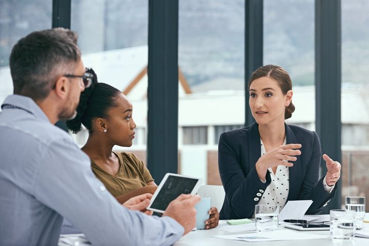 Professional consultation with clients